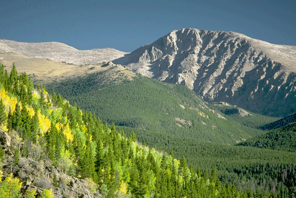 Fall in Rocky Mountain National Park